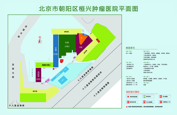 操逼逼啊北京市朝阳区桓兴肿瘤医院平面图